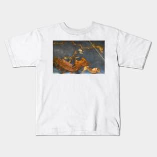 Ceiling Skymap (Argo Navis) - Palazzo Ducale, Mantua, Italy Kids T-Shirt